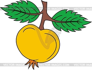 Apple with leafs - vector clipart