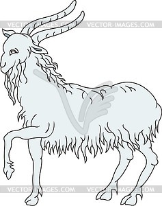 Goat - vector clipart