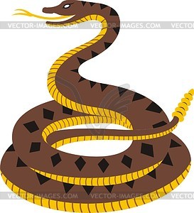Rattlesnake - vector clipart