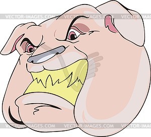 Bulldog - vector image