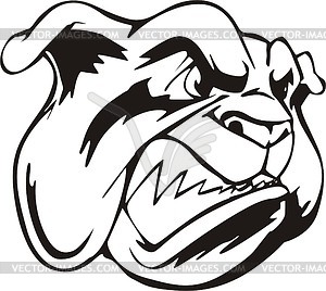 Bulldog - vector image