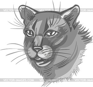 Cat - vector image