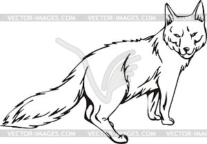 Corsac fox - vector clipart