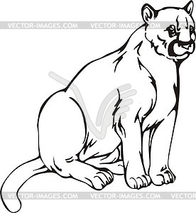 Cougar - vector image