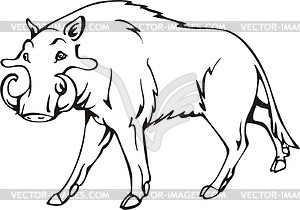 Entelodont - vector clipart