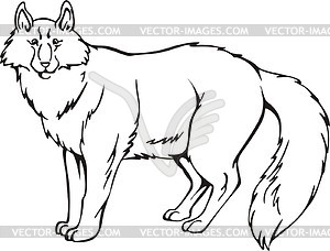 Fox - vector clipart