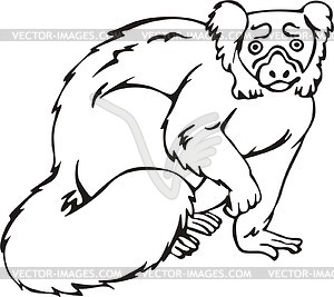 Lemur vari - vector clipart