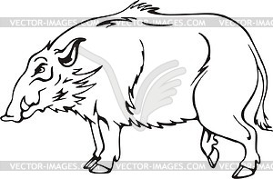 Wild boar - vector image