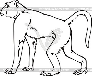 Yellow baboon - vector clipart