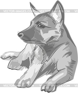 Puppy - stock vector clipart