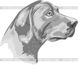 Rottweiler - vector clip art