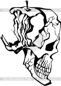 Skull tattoo - vector clipart