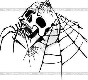 Skull and spider - vector clipart