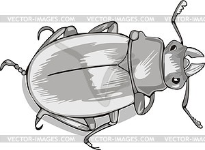 Beetle - vector clip art