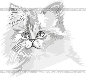 Cat - vector image