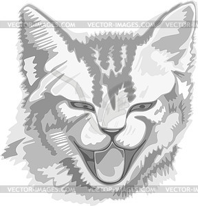 Cat - vector image