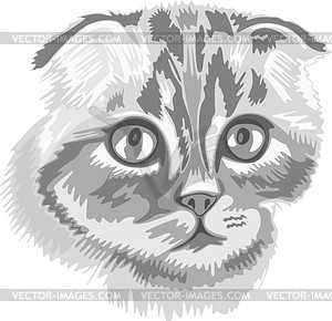 Cat - vector clipart