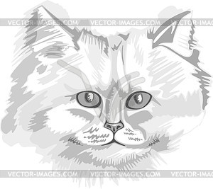 Черно белые картинки для распечатки коты