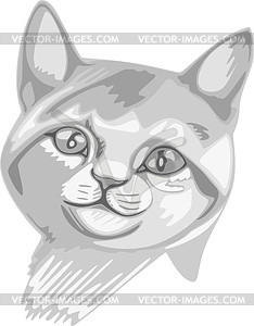 Cat - vector clip art