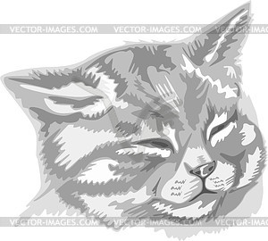 Cat - vector image