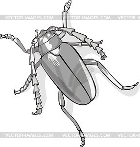 Insect - vector clipart