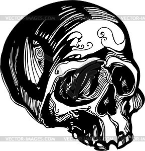 Skull - vector image