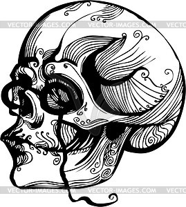 Skull - vector image