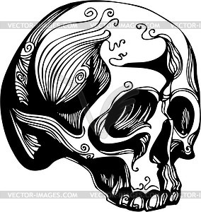 Skull - vector clip art