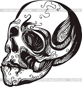 Skull - vector image