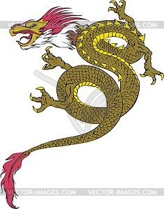 Chinese dragon - vector image