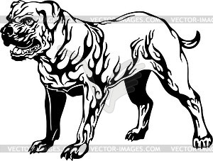 Dog flame - vector clipart