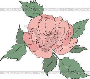 Flower - vector clipart