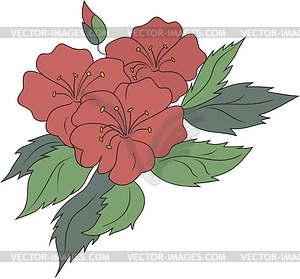 Цветок - изображение в векторе