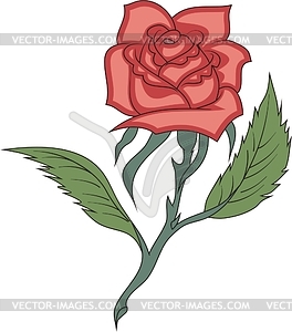 Red rose - vector image