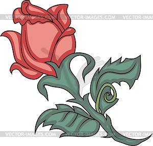 Red rose - vector clipart