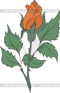 Rose - vector image