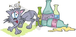 Humorous cat cartoon - vector clipart