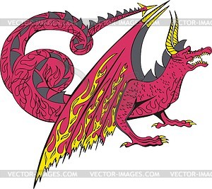 Dragon - vector image