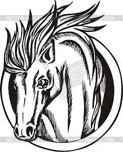 Round horse tattoo - vector image