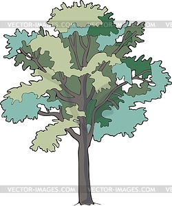 Ash-tree - vector clipart