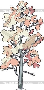 Aspen - vector clipart