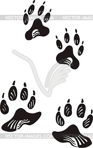 Coyote tracks - vector clipart