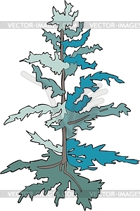 Cypress - vector clipart