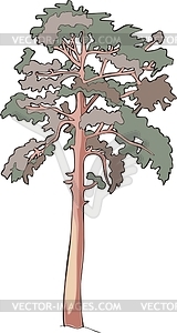 Pine-tree - vector clipart