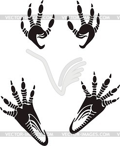 Squirrel tracks - vector clipart