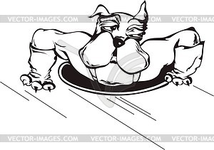Ludicrous bulldog cartoon - vector clip art