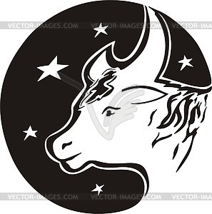 Taurus - vector clipart / vector image