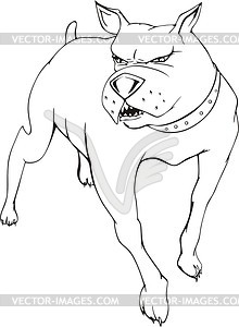 Angry dog - vector clipart