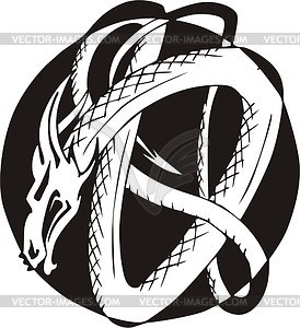 Round dragon knot tattoo - vector clipart