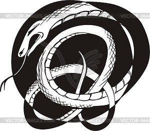 Round snake knot tattoo - vector image